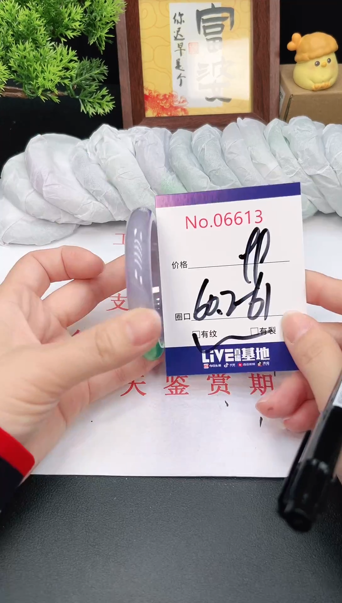 未镶嵌手镯翡翠6613