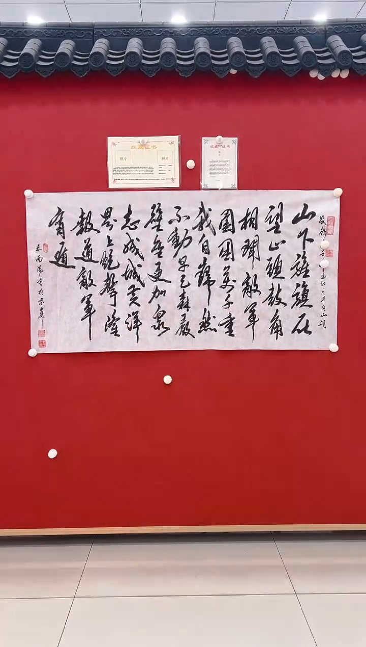 【闪购商品】书法米南阳       书法   8平尺