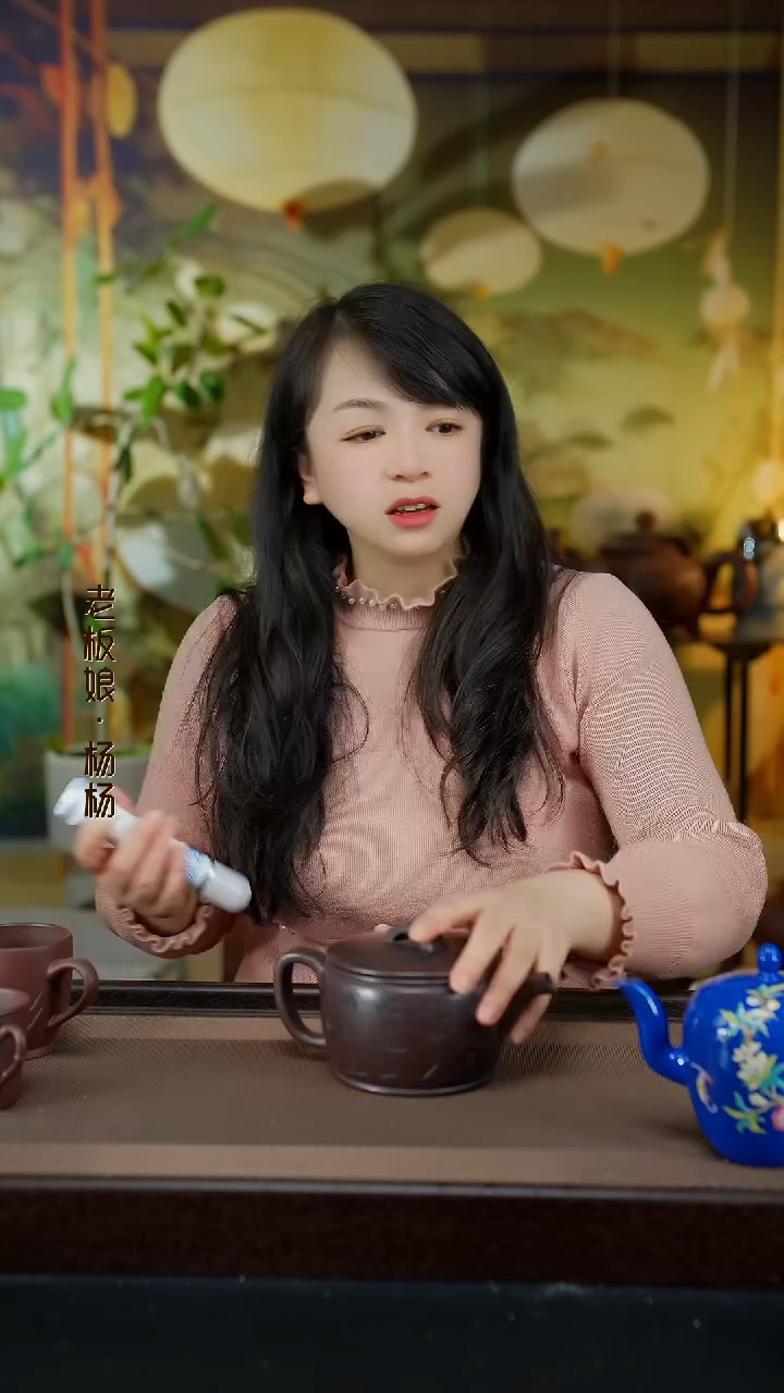 【闪购商品】紫砂茶壶宜兴紫砂壶