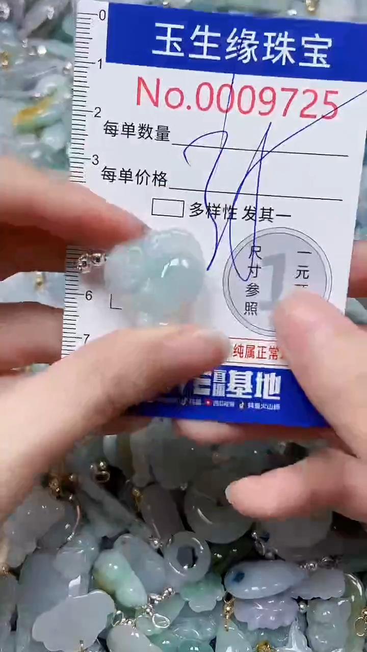 【闪购商品】翡翠颈饰未镶嵌闪购00009725