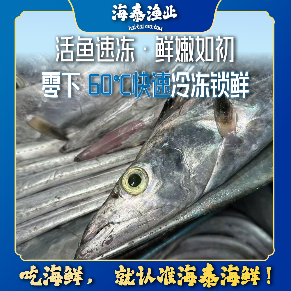 【阿慧专属】【青章带】海泰码头 深海捕捞 鲜活速冻 锁鲜冷链到家
