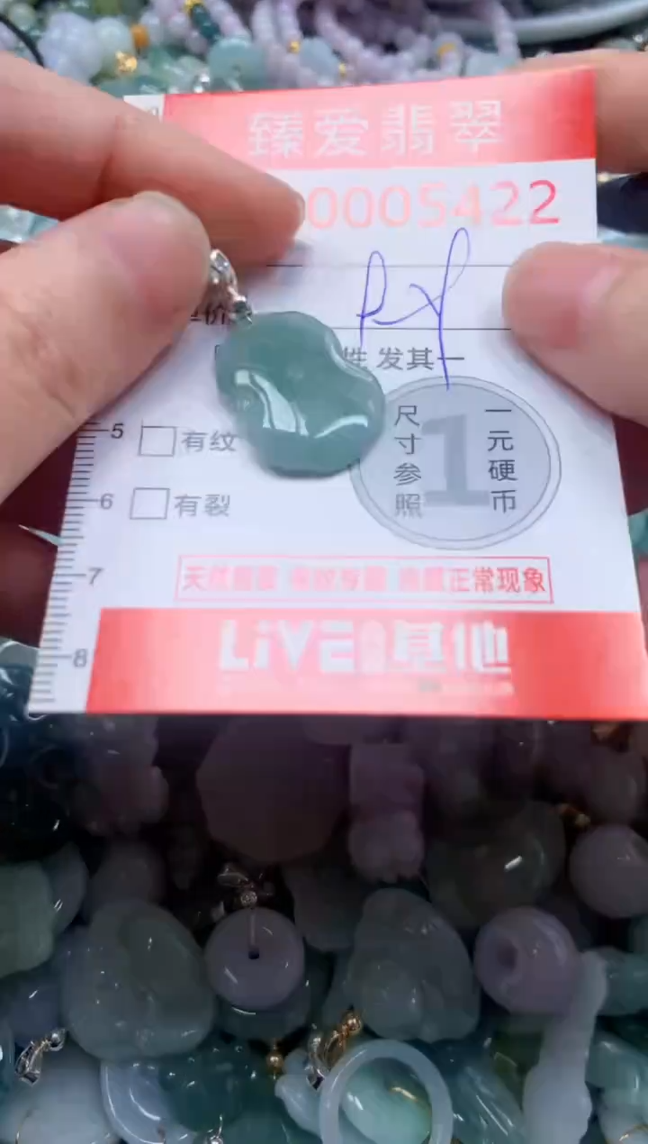 翡翠未镶嵌吊坠(不含链)5422