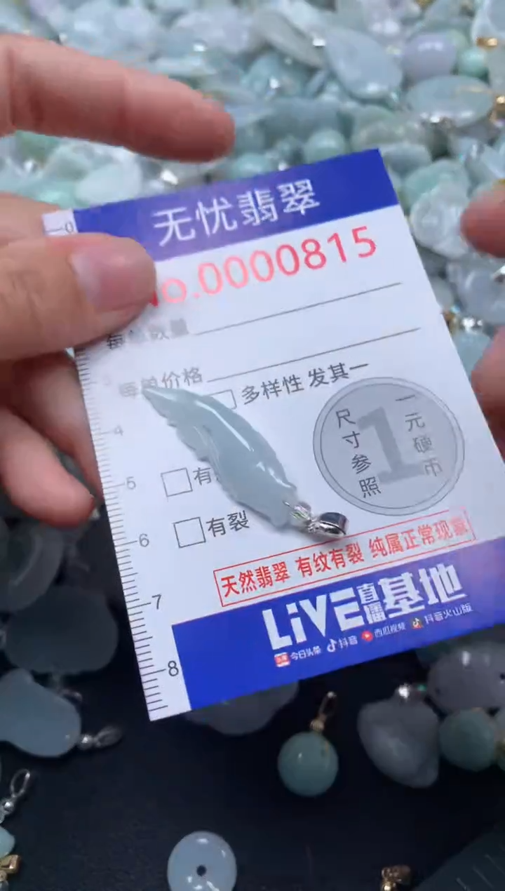 颈饰未镶嵌翡翠815