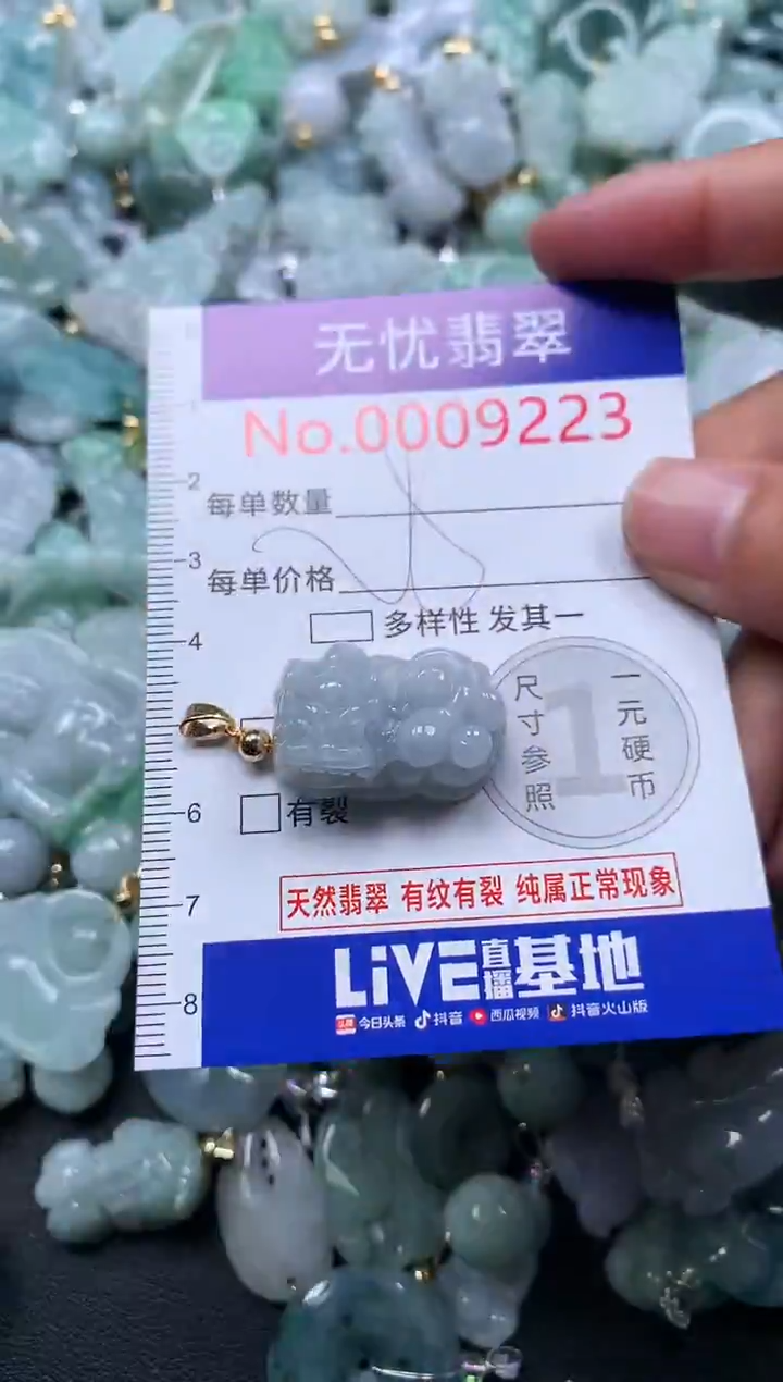 颈饰未镶嵌翡翠9223