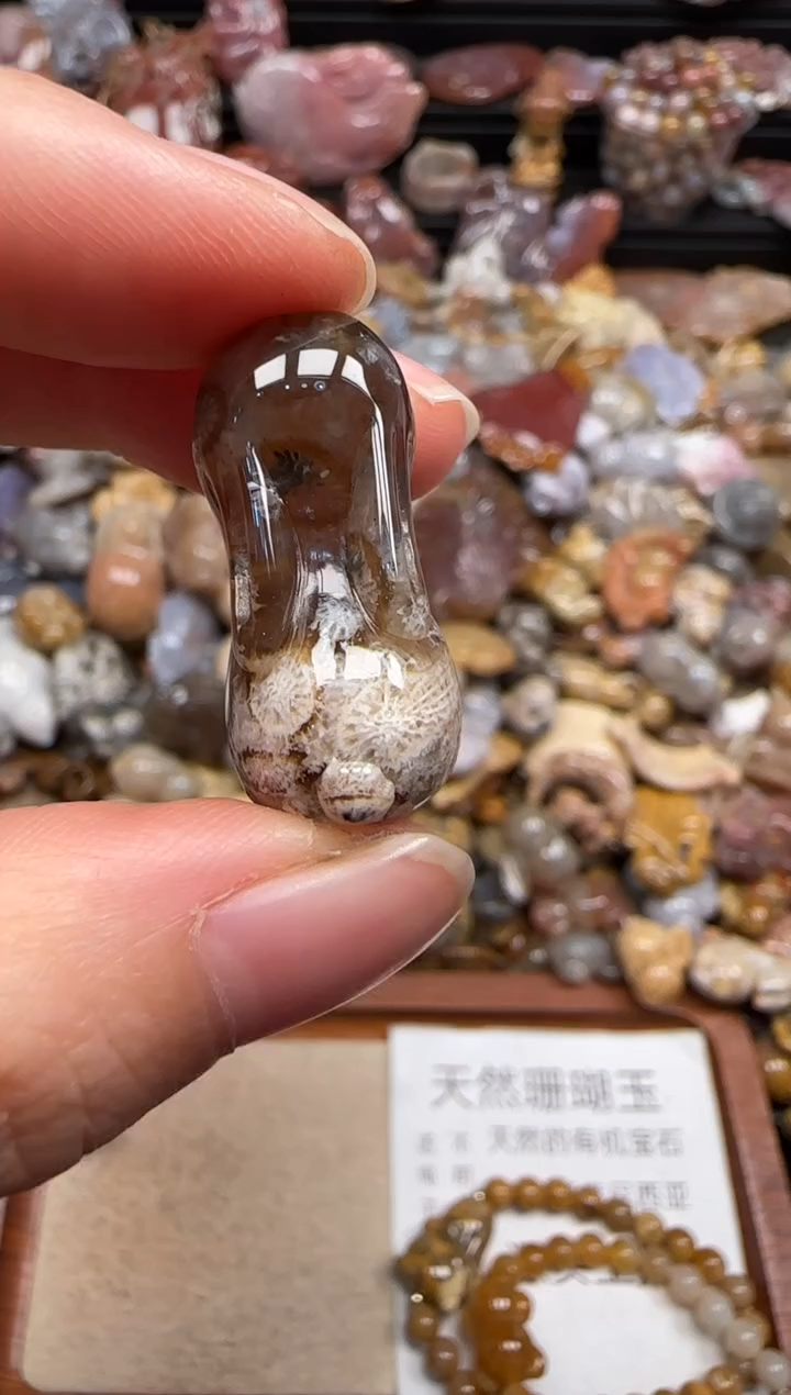 【闪购商品】硅化珊瑚（珊瑚玉）颈饰未镶嵌467