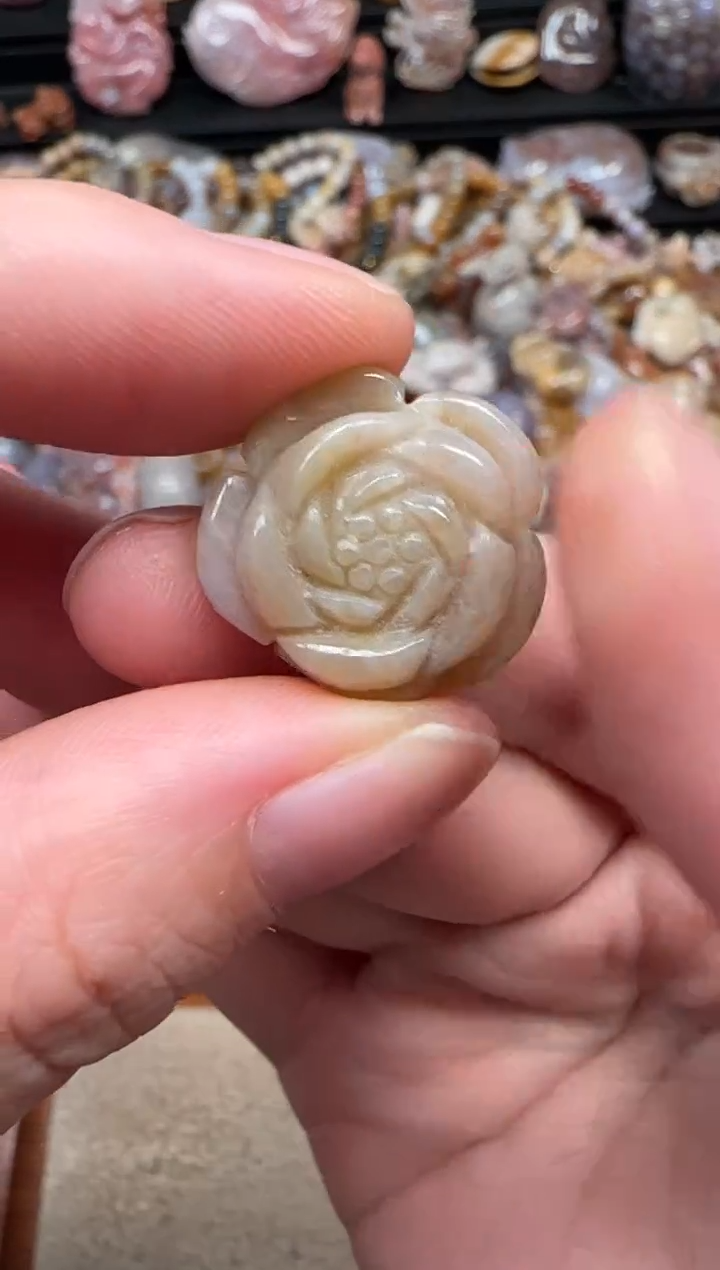 颈饰未镶嵌硅化珊瑚（珊瑚玉）549