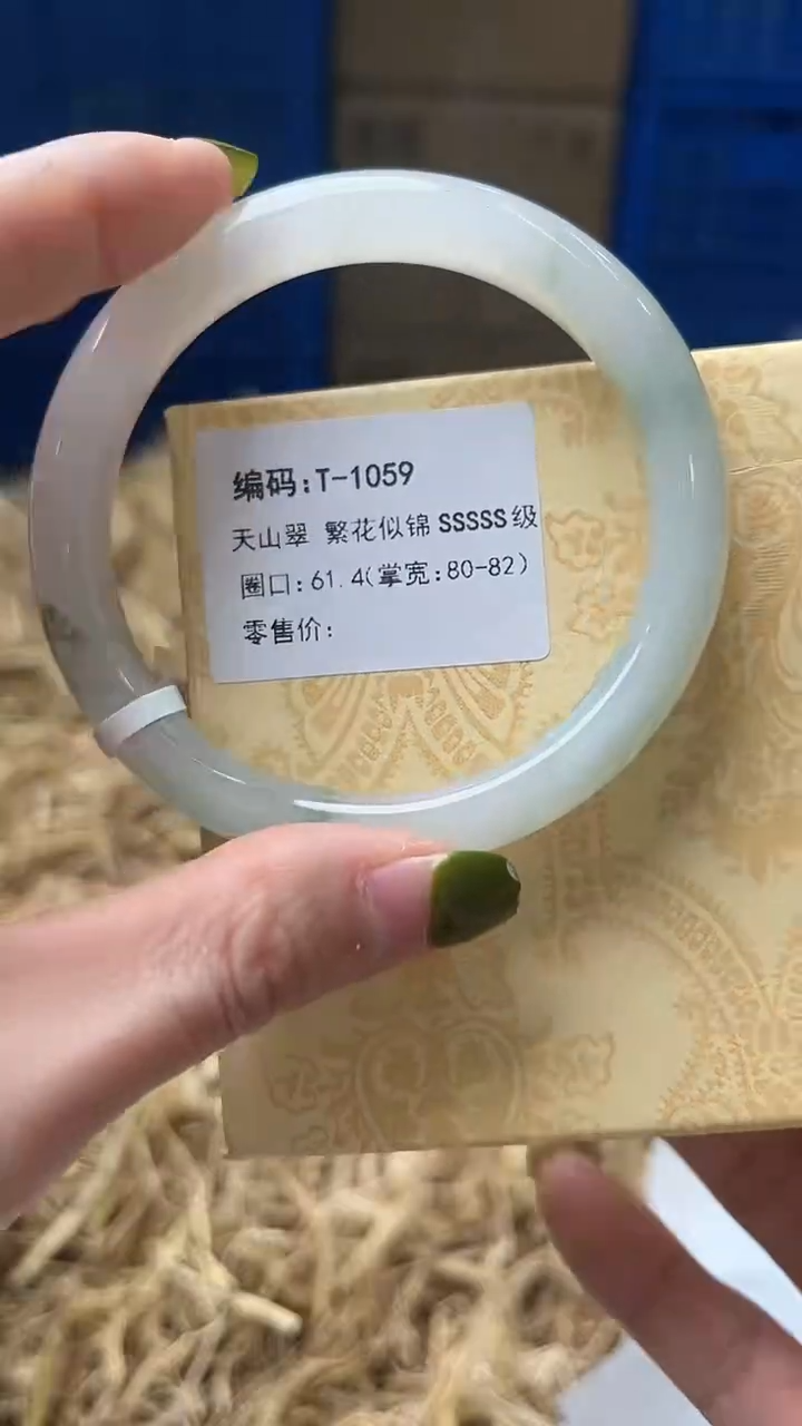 未镶嵌手镯石英质玉T1059