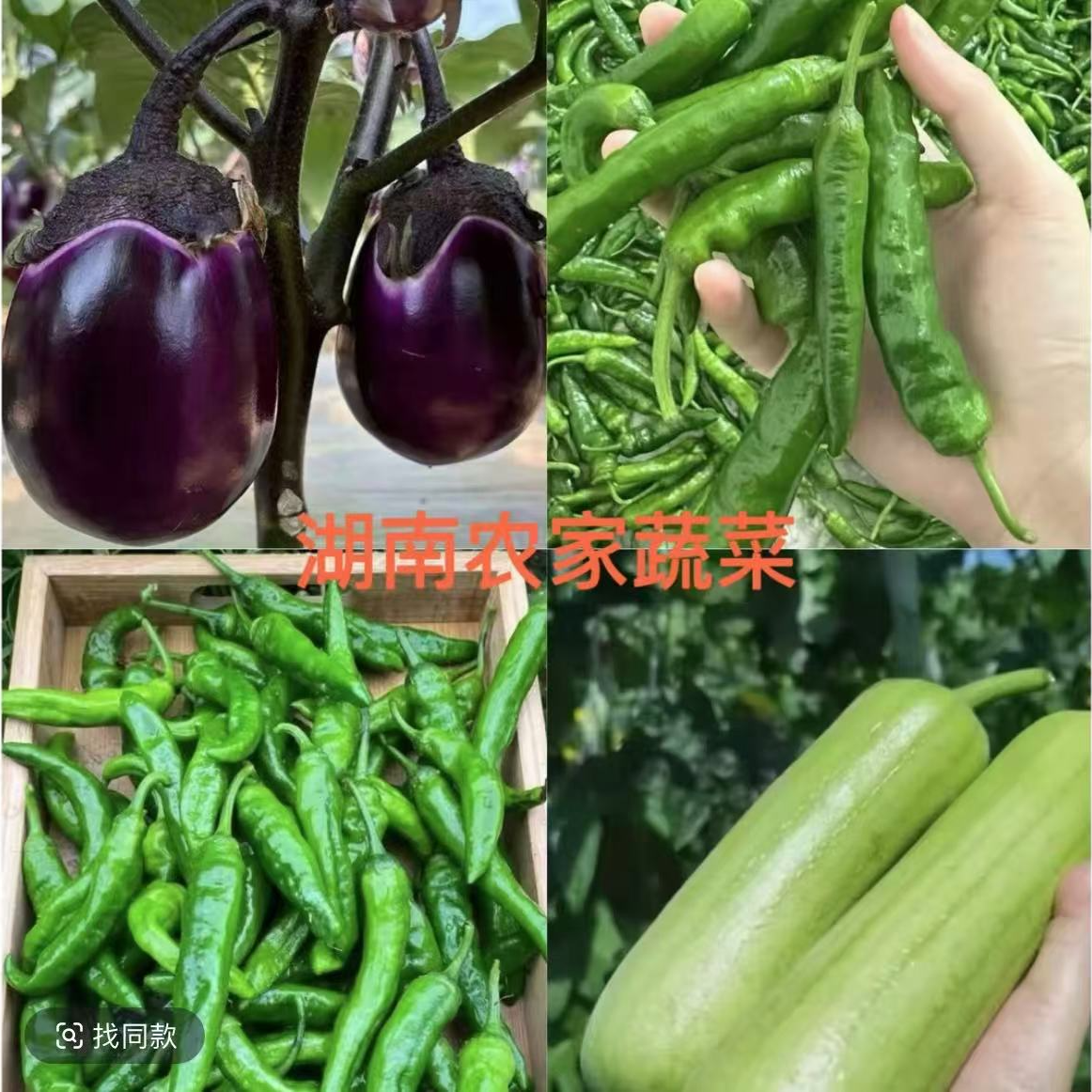 【湖南汉寿】农家蔬菜组合