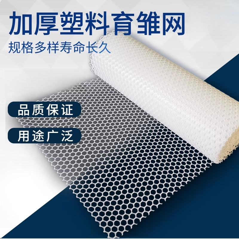 塑料网养殖网鸡鸭鹅蚕家禽专用漏粪网围栏脚垫网格防护网育雏网子