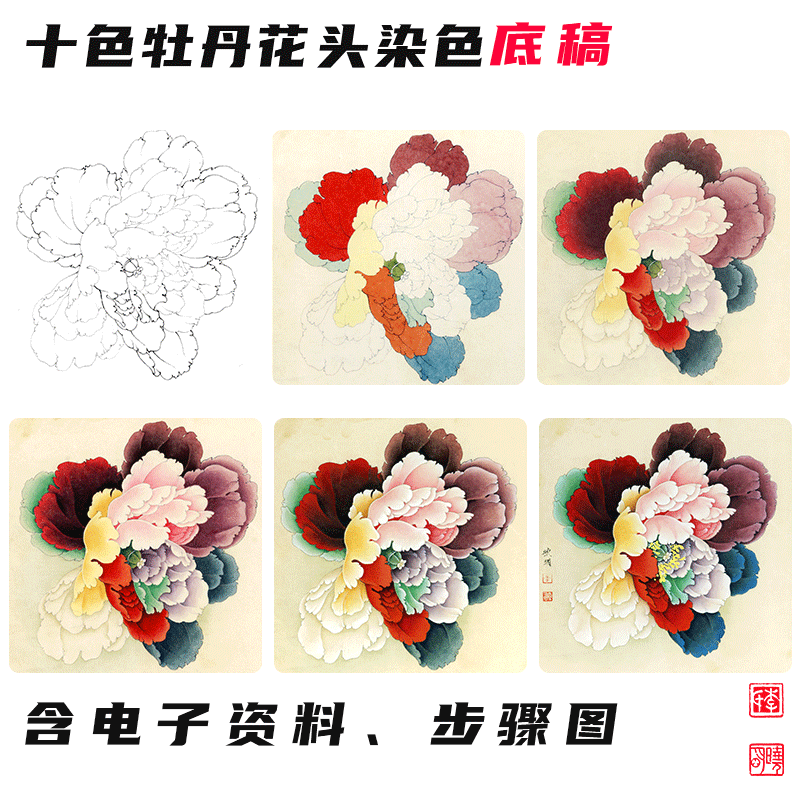 【十色牡丹花头染色】  赠送十色牡丹花头底稿  李晓明原创基础训练