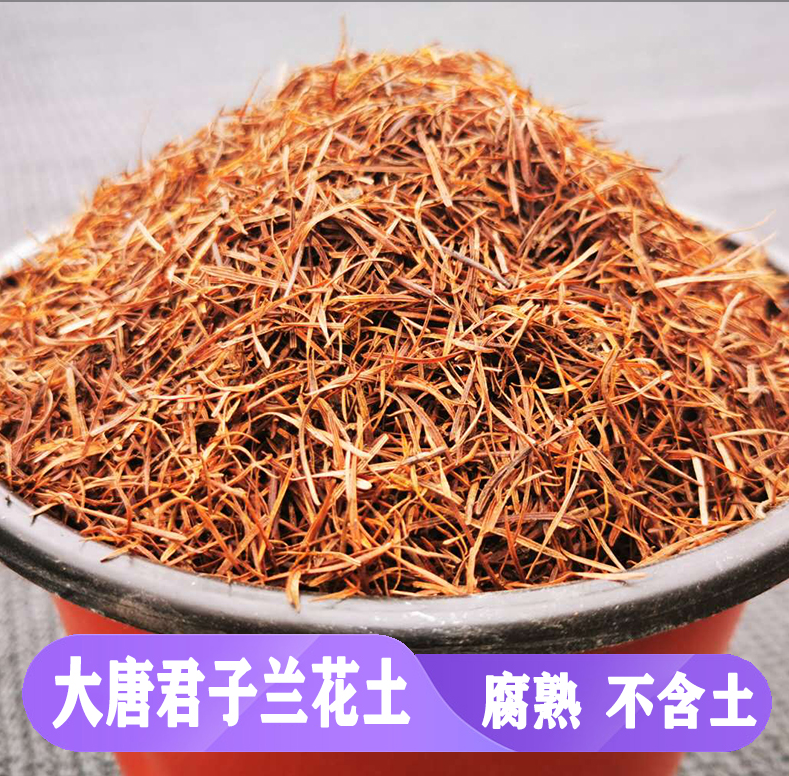 纯松针 干的最新落叶松  