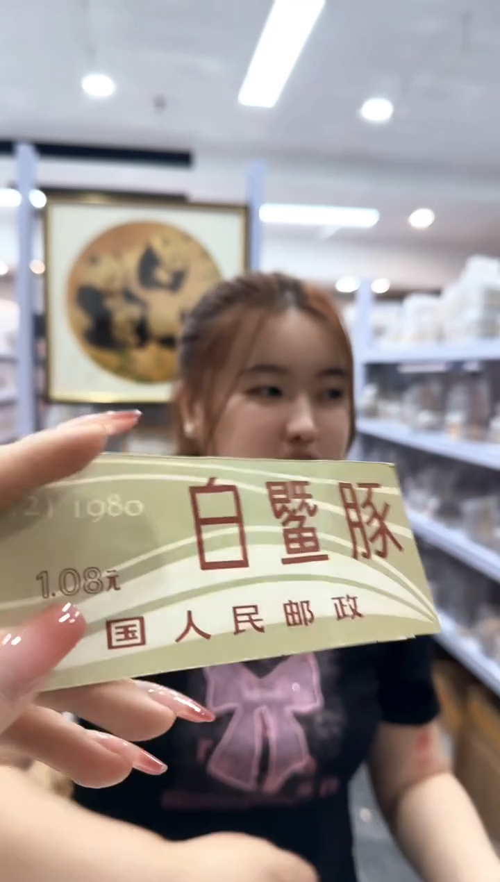 白暨豚小本票上美品