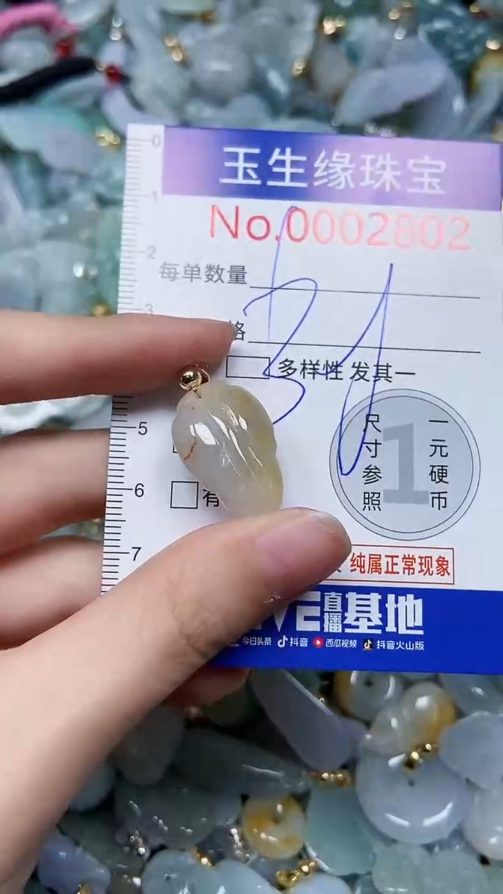 【闪购商品】翡翠颈饰未镶嵌闪购00002802