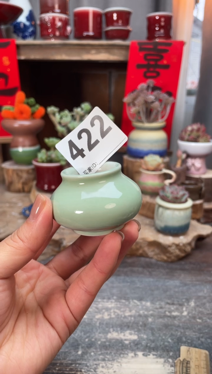【闪购商品】摆件422知木小芳花盆