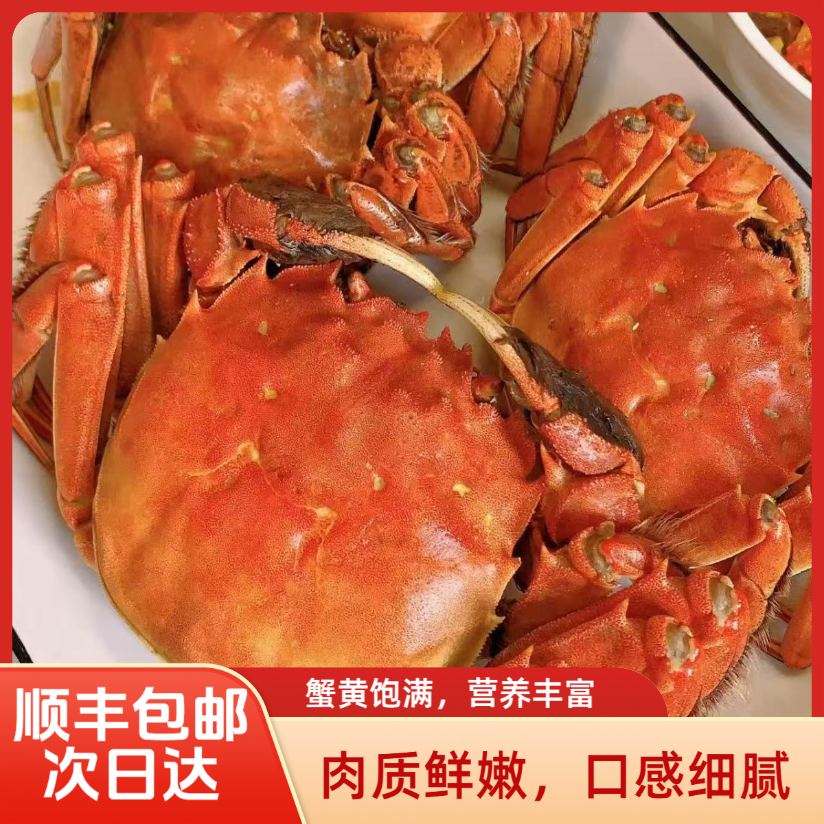 河蟹保活24只正宗河蟹鲜活到家公蟹1.1两-1.3两稻田蟹嫩江蟹