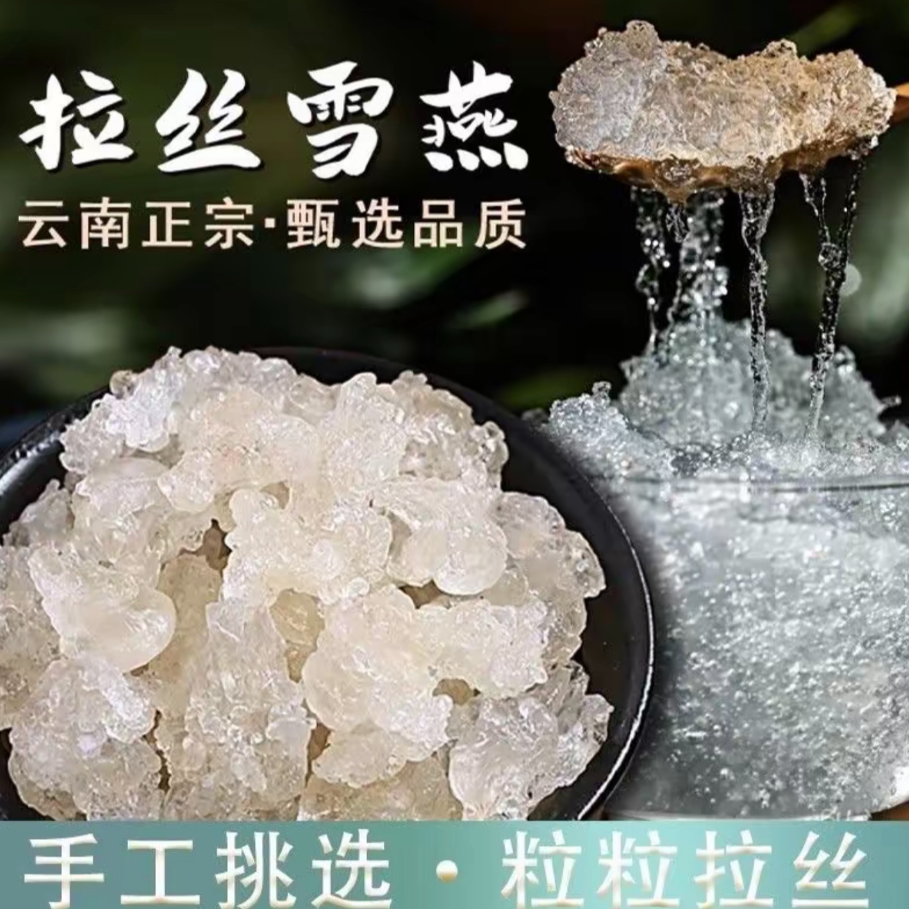 云南高山正宗拉丝雪燕 天然优质野采无添加250克