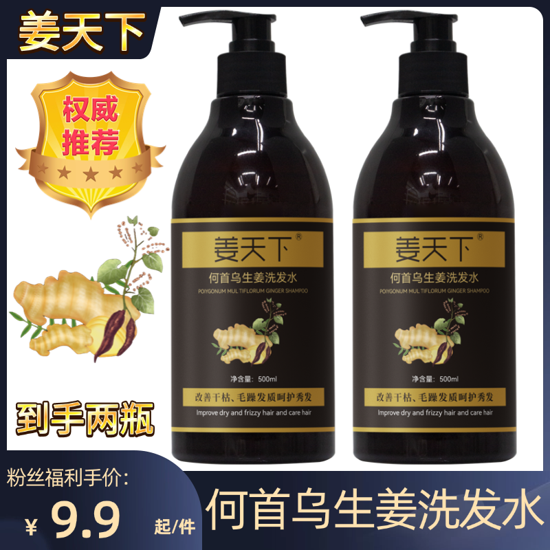 姜天下何首乌生姜洗发水控油养发净屑蓬松清爽柔顺秀发滋养2瓶YN