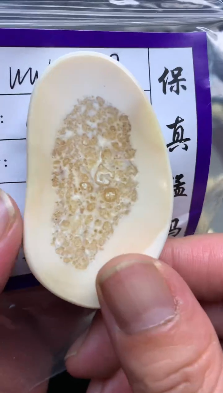 【闪购商品】橄榄核手串/手链橄榄核橄榄核橄榄核D55