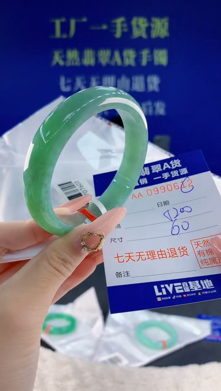 未镶嵌手镯翡翠12