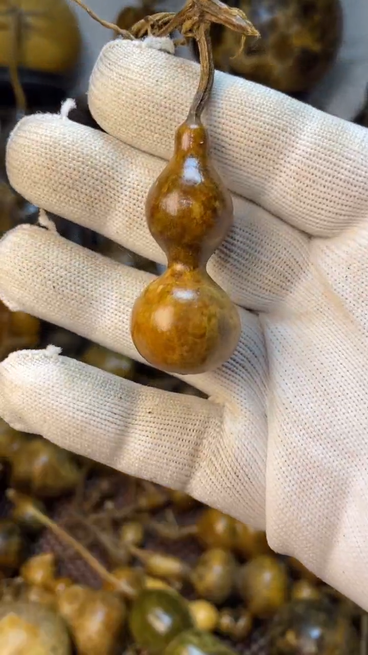 【闪购商品】葫芦葫芦葫芦葫芦