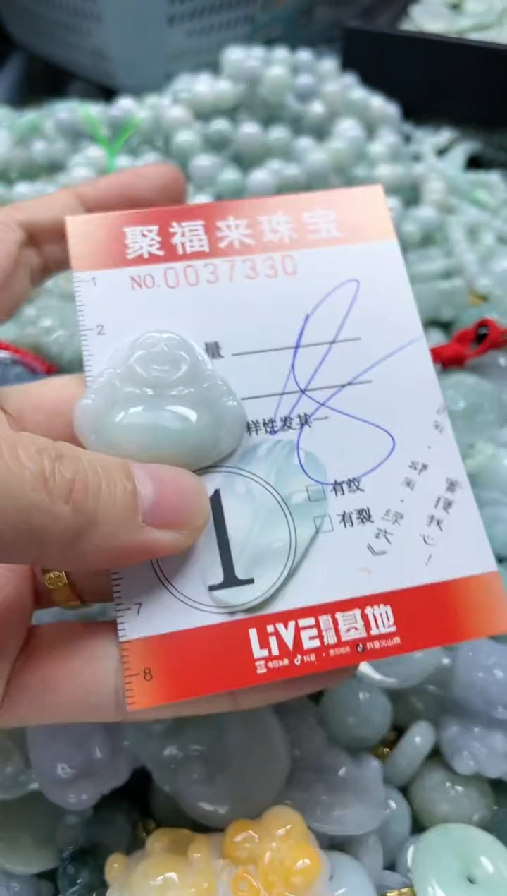 【闪购商品】翡翠颈饰未镶嵌闪购0037330