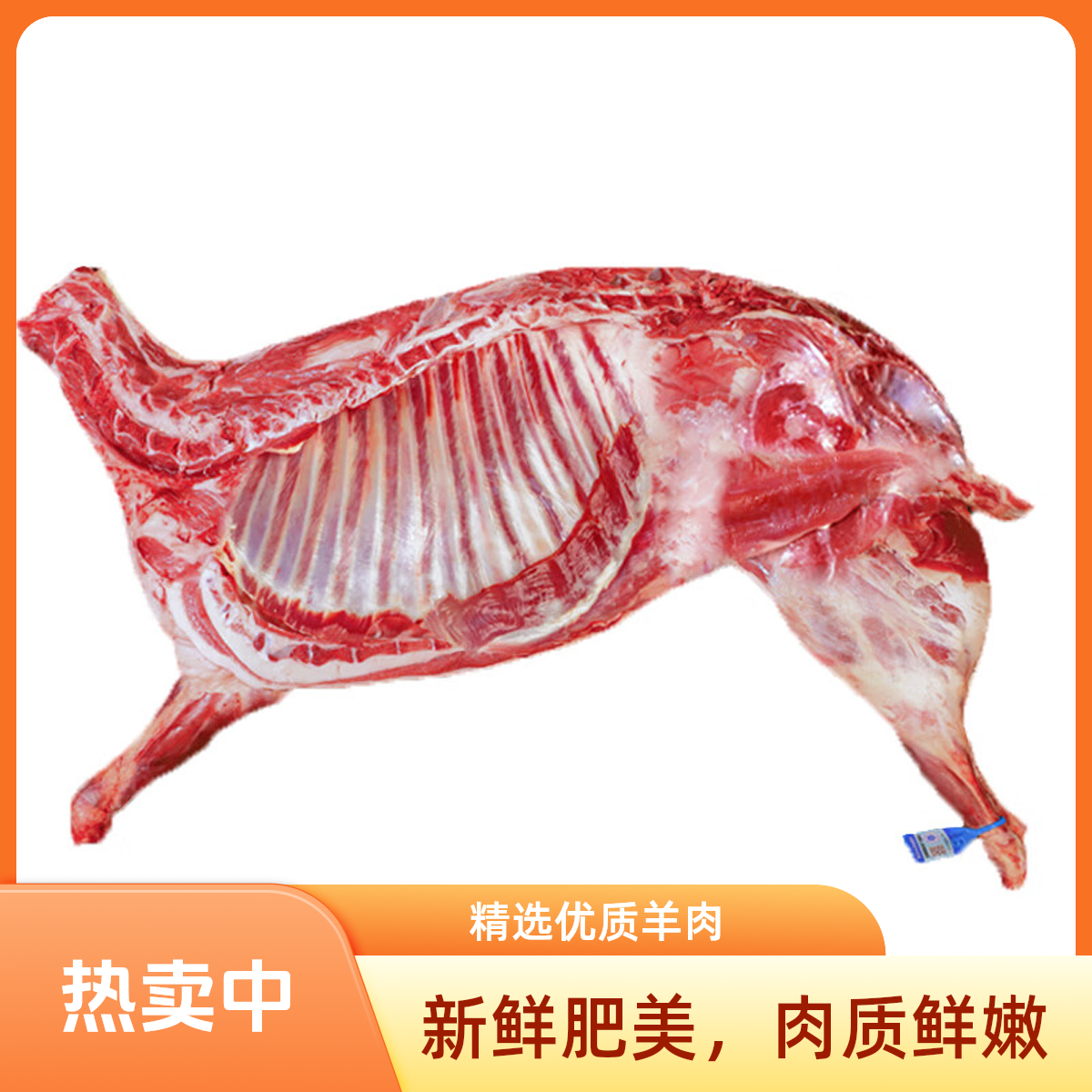 【11-12斤】广西山羊半只带皮11-12斤