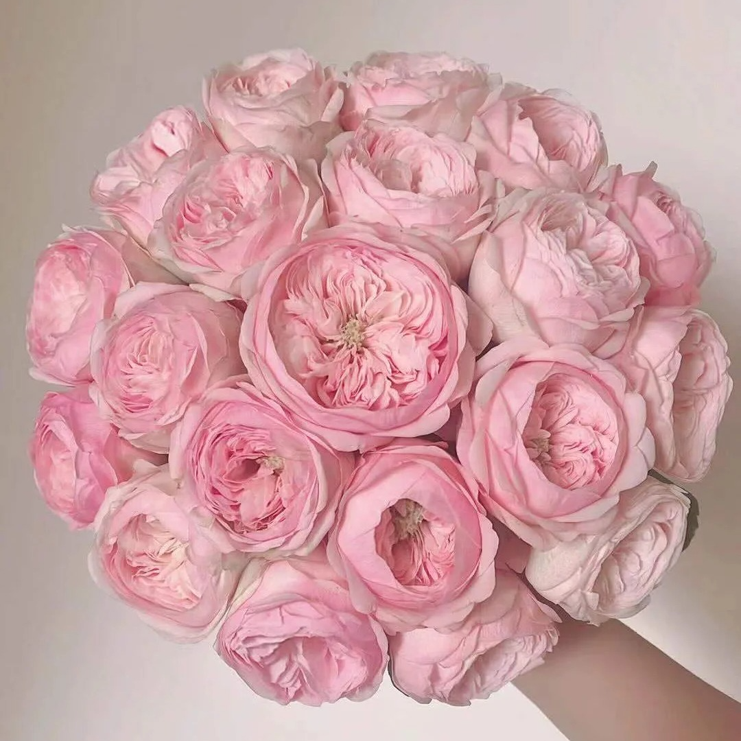 【静静甄选】多头玫瑰酷皮 任意2单以上包邮 发货后不支持退款