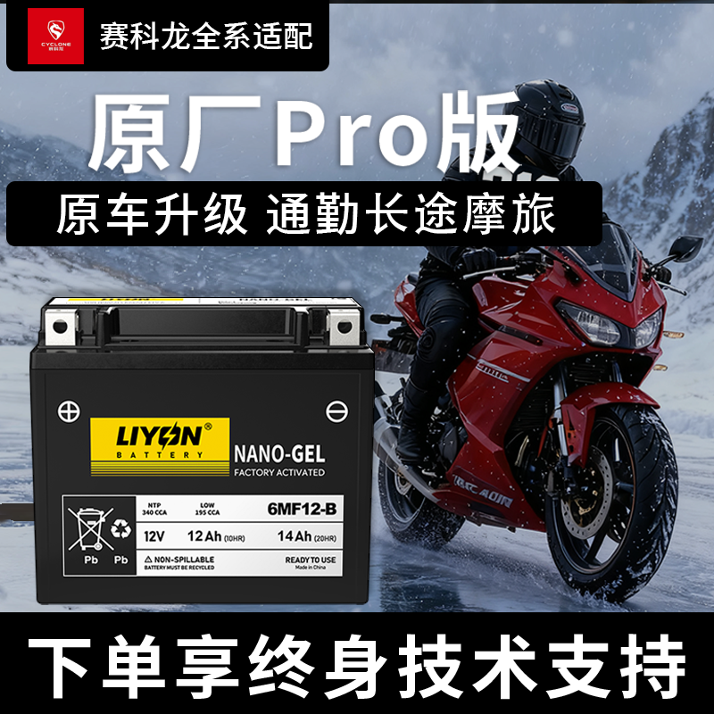 力扬赛科龙RA2/RT2/3/RZ3SRG3RE3/RC401/RX3S/401/600摩托车电瓶