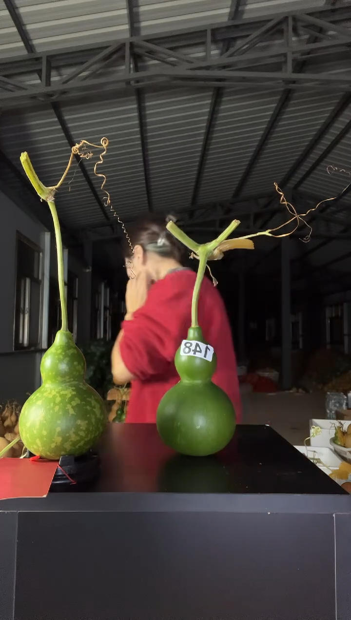 2****星148天然葫芦摆件 一物一拍龙头不保售后