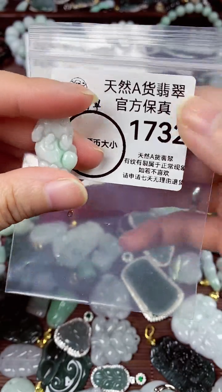 【闪购商品】翡翠颈饰未镶嵌天然A货翡翠1732