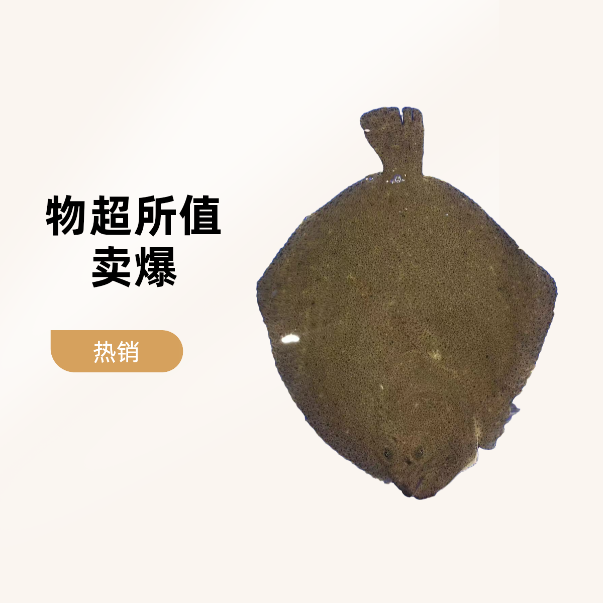 鲜活多宝鱼【老笨生鲜】到家后保鲜不保活