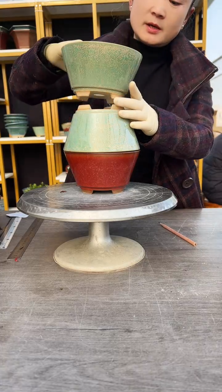  55号三色组合链接