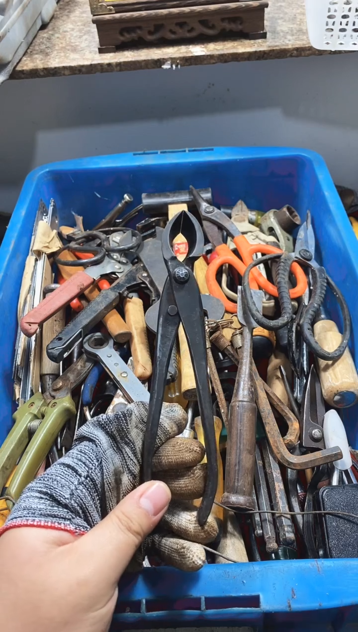 b****6麻嘎子工具闪购链接一物一拍