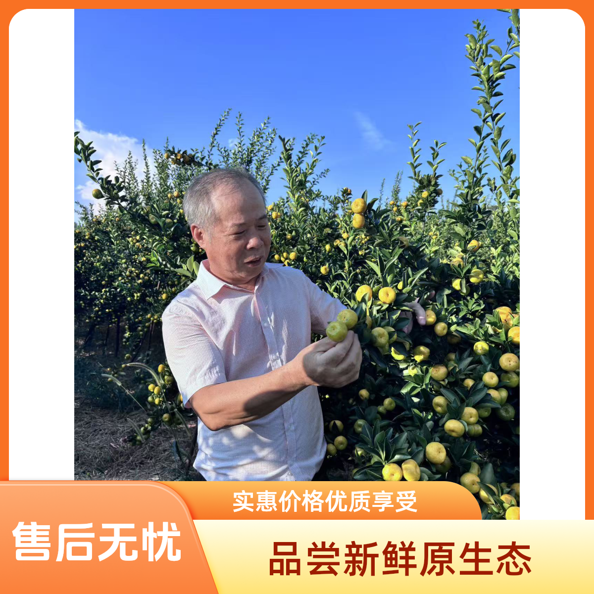 原产地直发南丰蜜桔桂月红正宗南丰蜜桔Vc炸弹小桔子