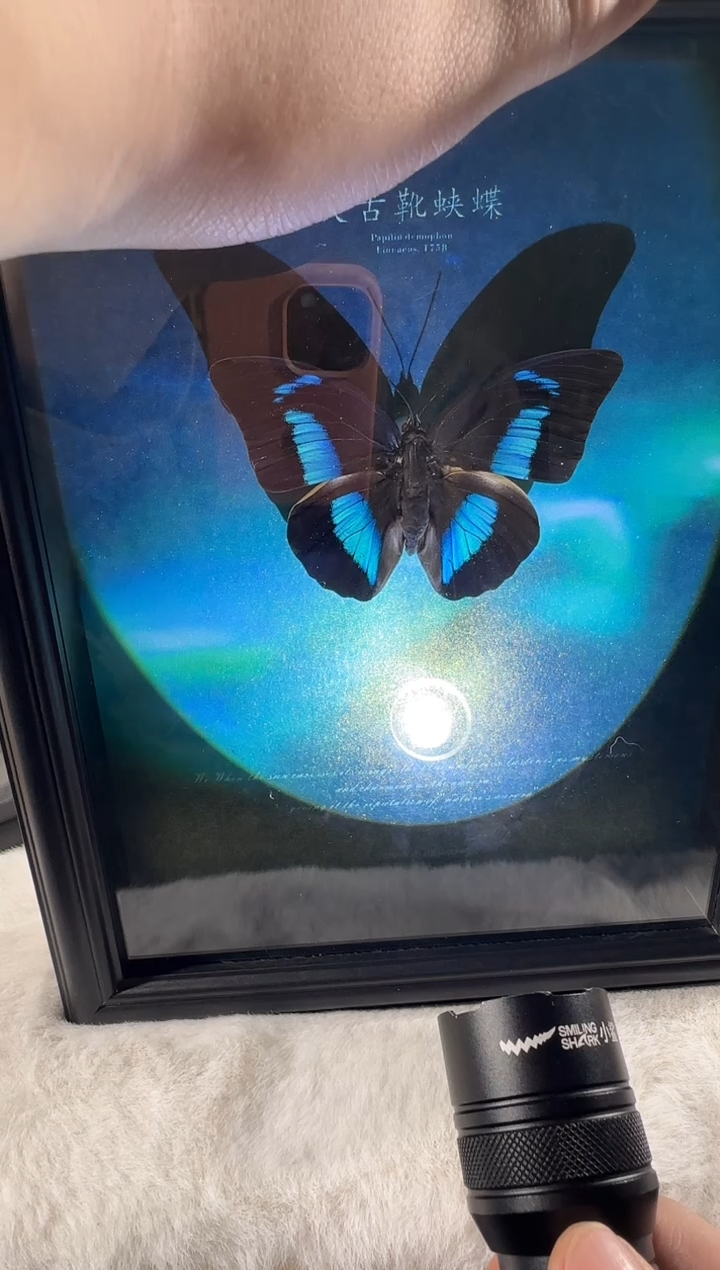 t****g黑绒底天堂   图片忽略  