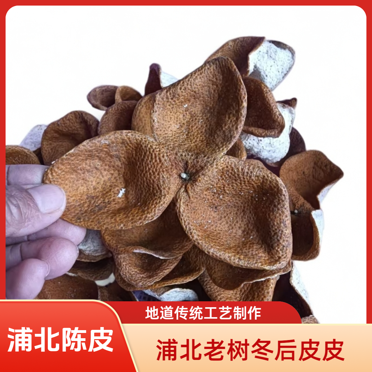 2024年浦北老树冬后皮