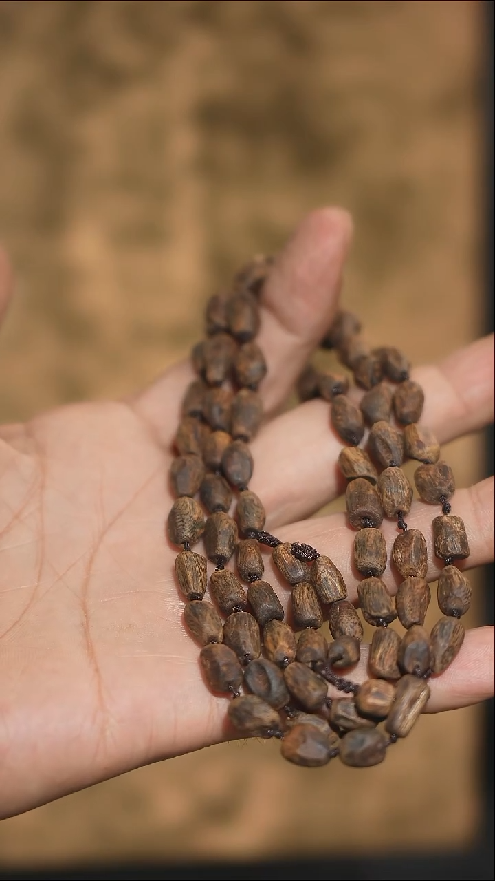 沉香手串海南绿奇楠沉水树丁虫漏随型长串 19克