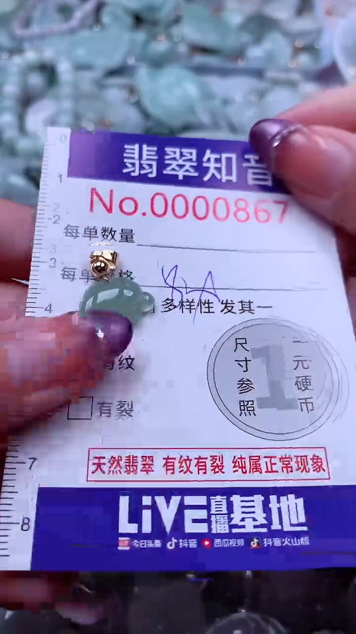 翡翠未镶嵌吊坠(不含链)867