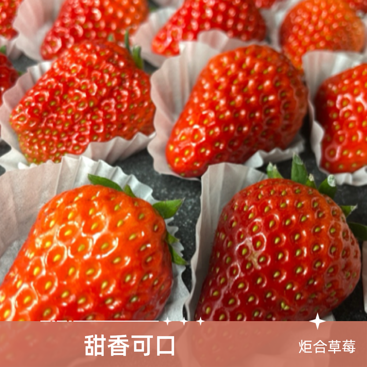 【平台福利补贴9.9元大果半斤】丹东牛奶草莓，半斤装平台福利到手价9.9元，果香四溢，唇齿留香