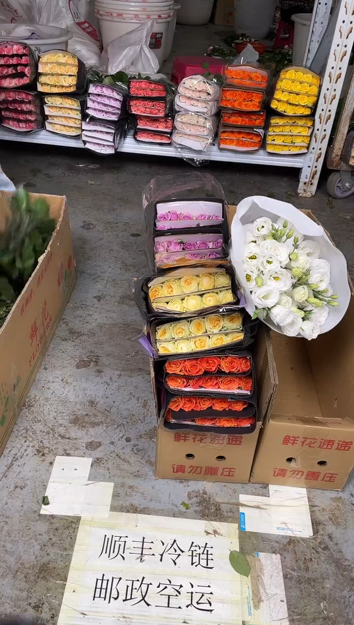 欢乐颂20枝+奶油杯20枝+紫霞20枝+白色洋桔梗800克