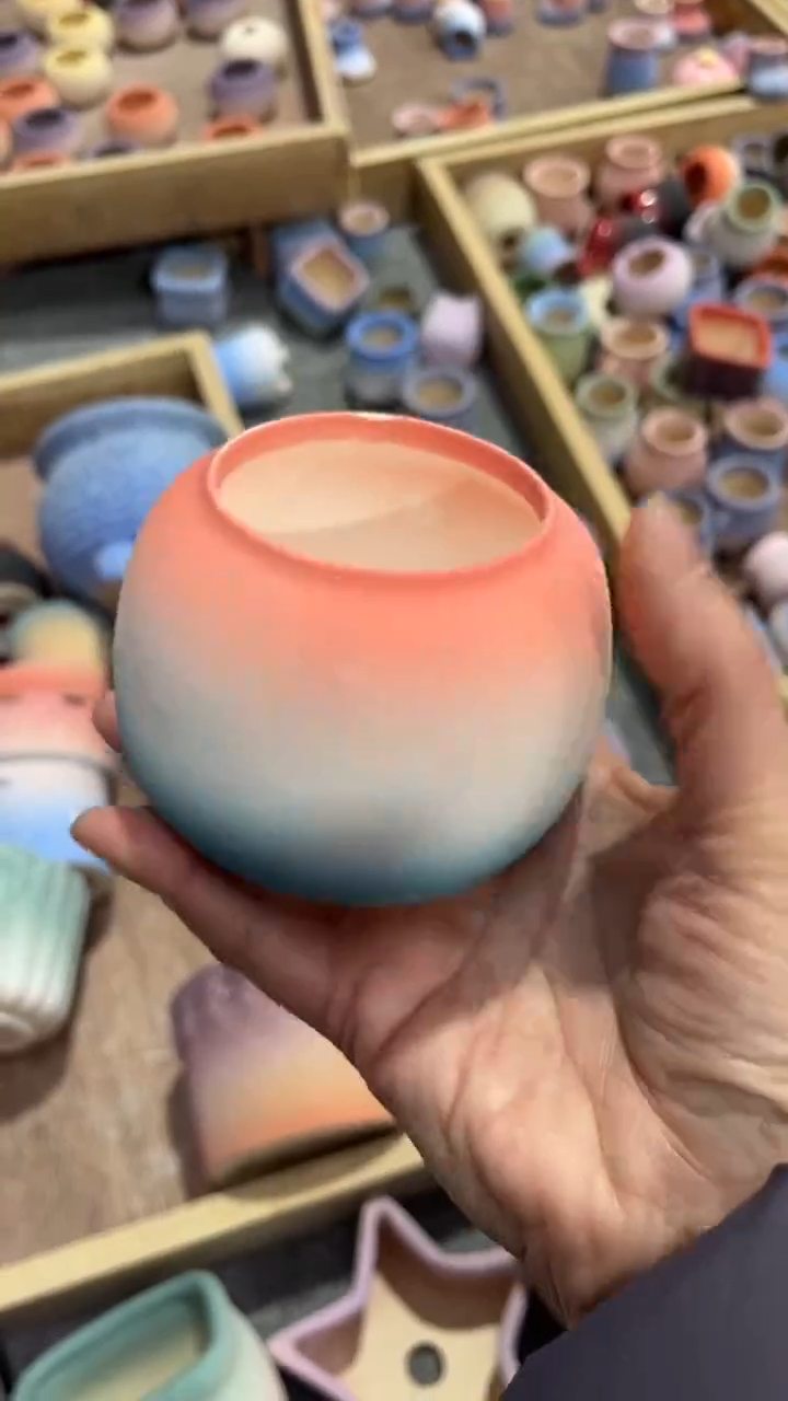 【闪购商品】红陶6*6.5