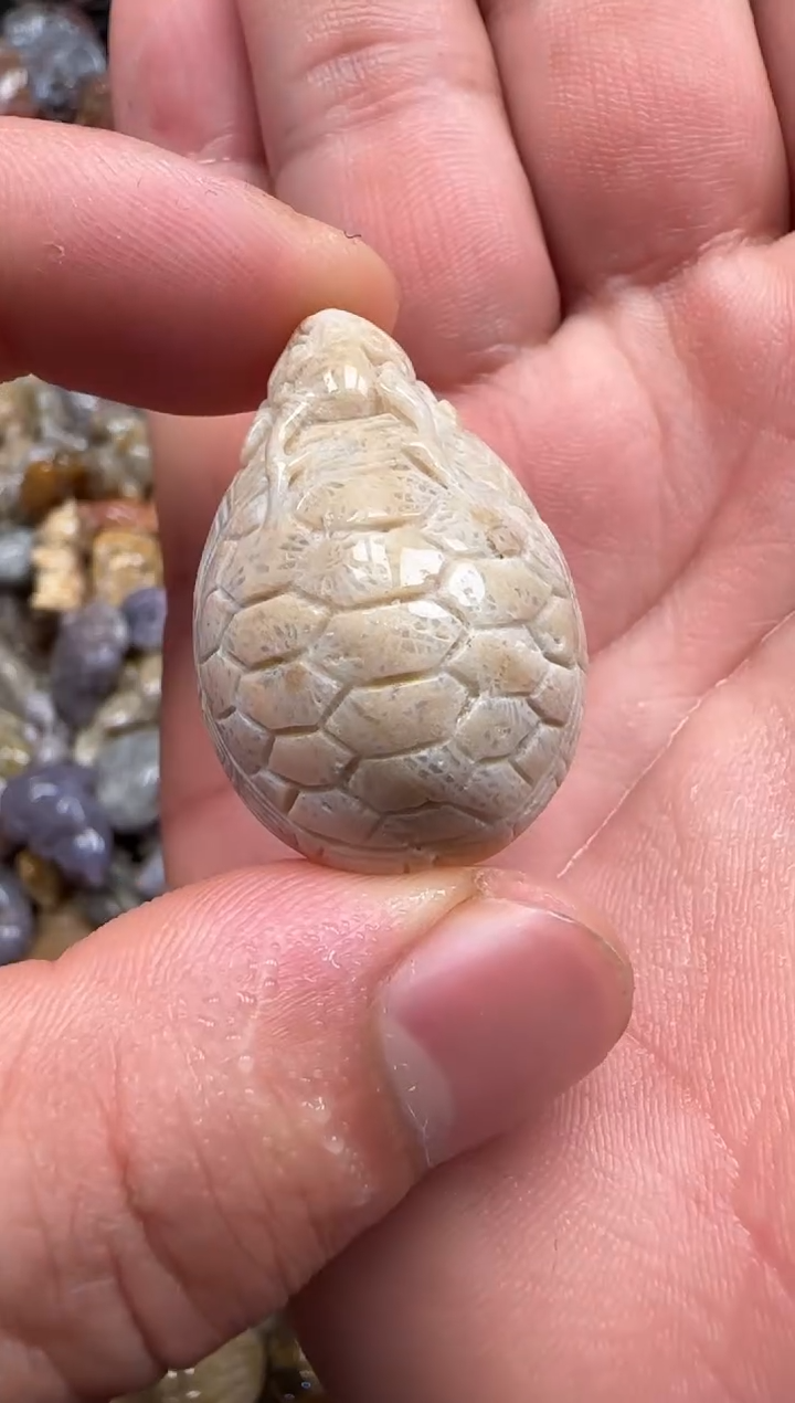 【闪购商品】硅化珊瑚（珊瑚玉）颈饰未镶嵌287