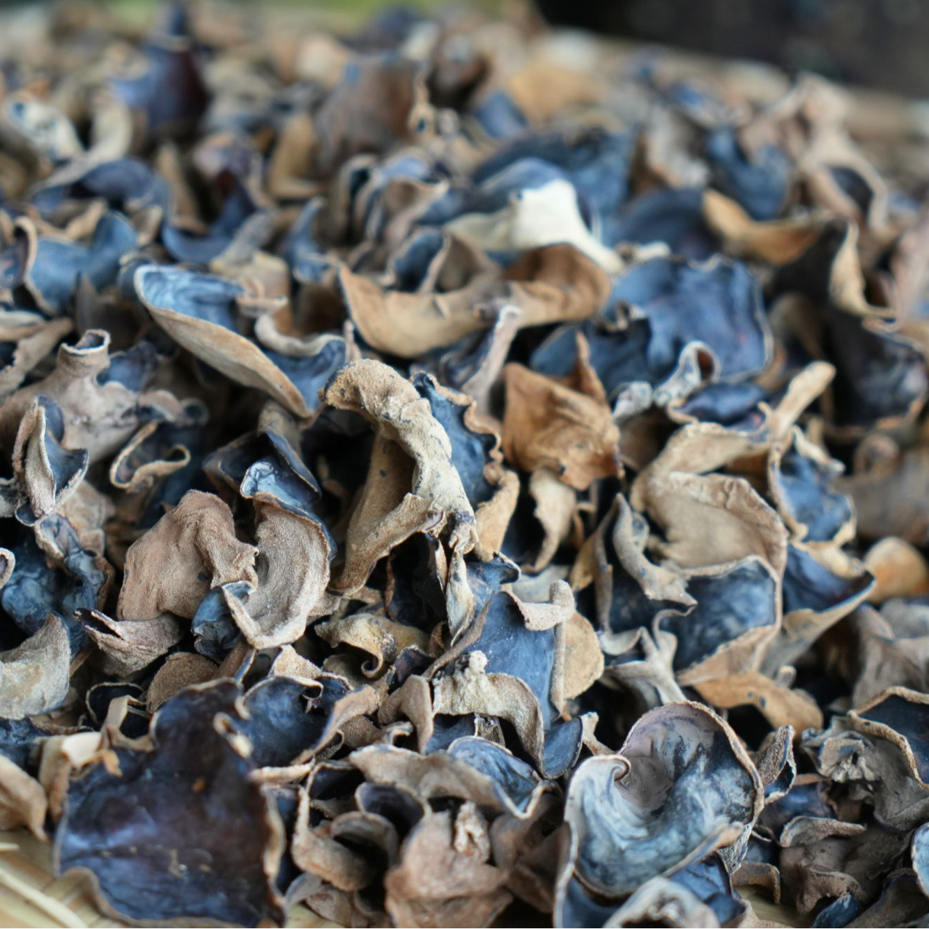 桃岭村高山正宗自制干柴耳