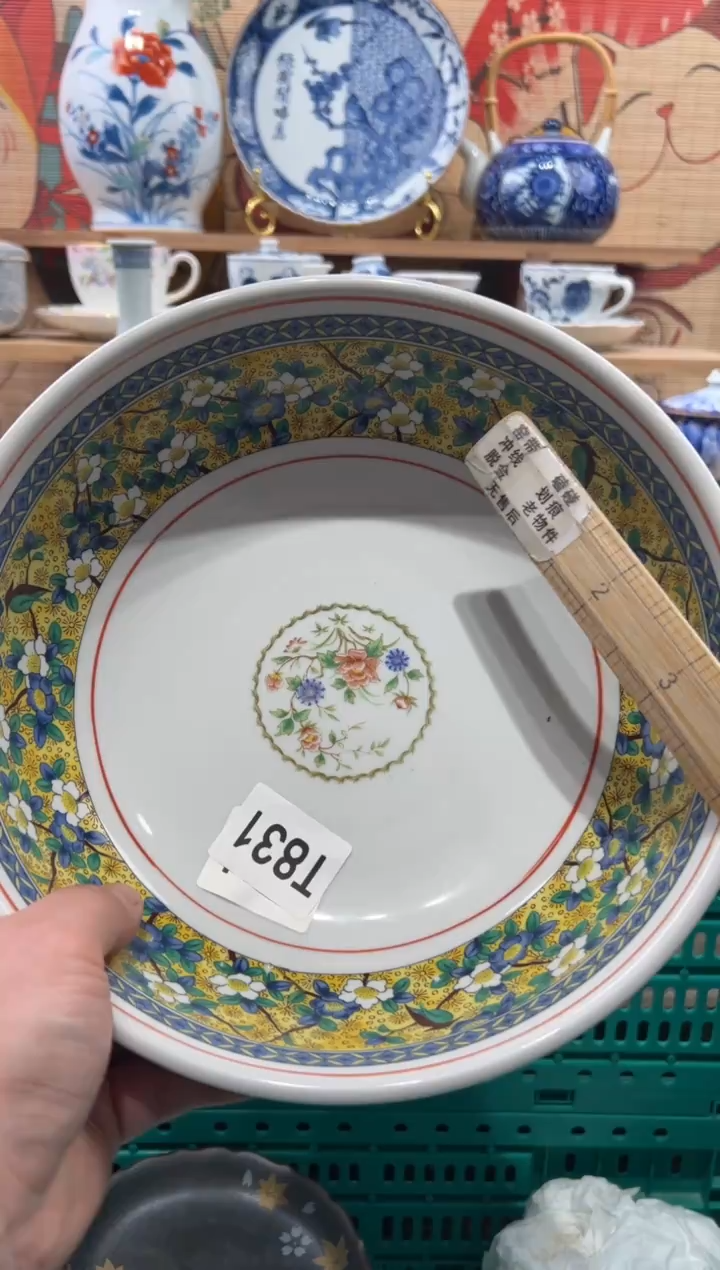 瓷片和****间瓷片------T831