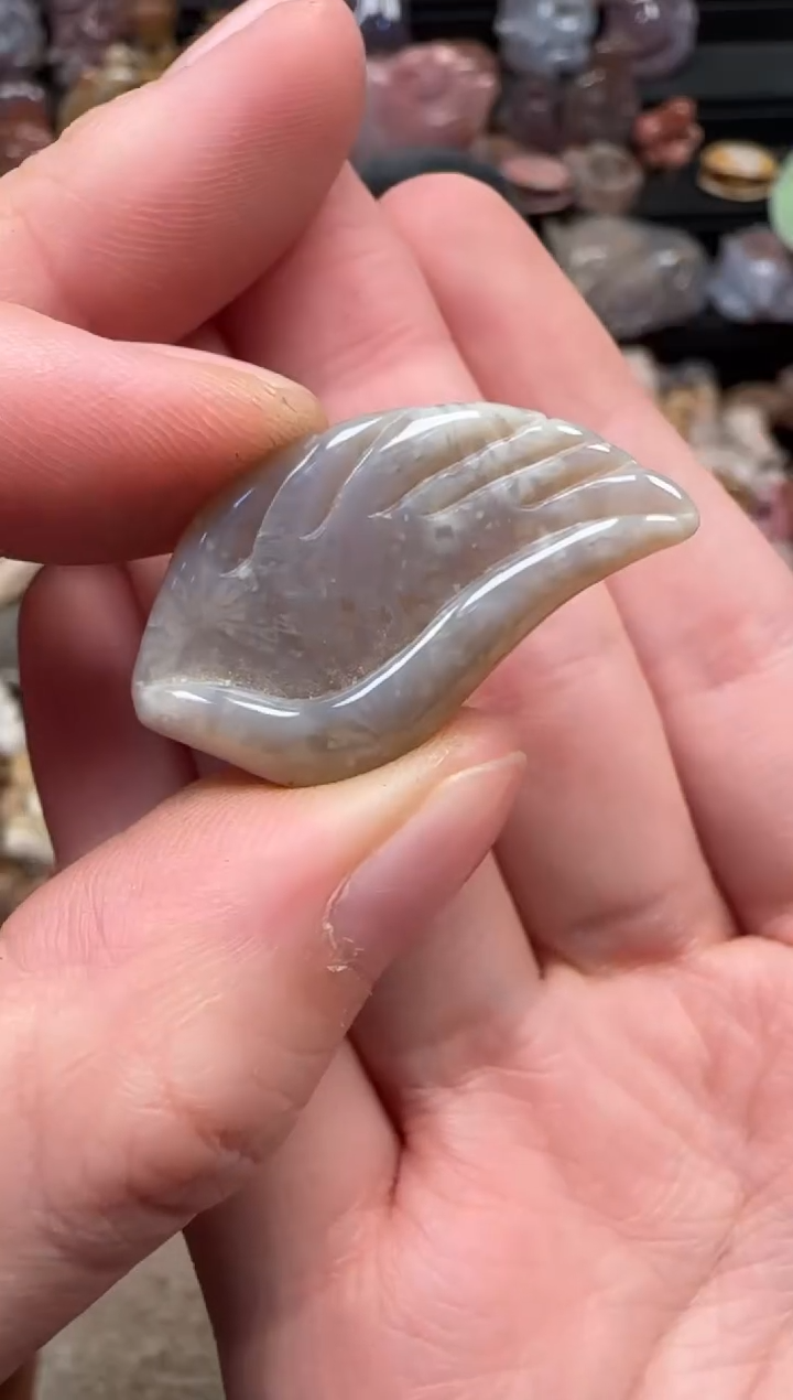 颈饰未镶嵌硅化珊瑚（珊瑚玉）089