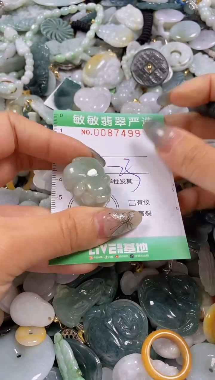 【闪购商品】翡翠颈饰未镶嵌闪购0087499