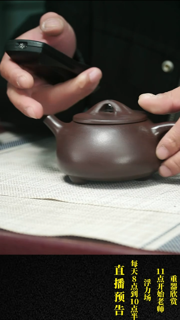 【闪购商品】紫砂茶壶紫砂 茶壶3