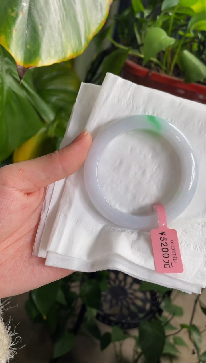 【闪购商品】翡翠手镯未镶嵌502手镯52.5