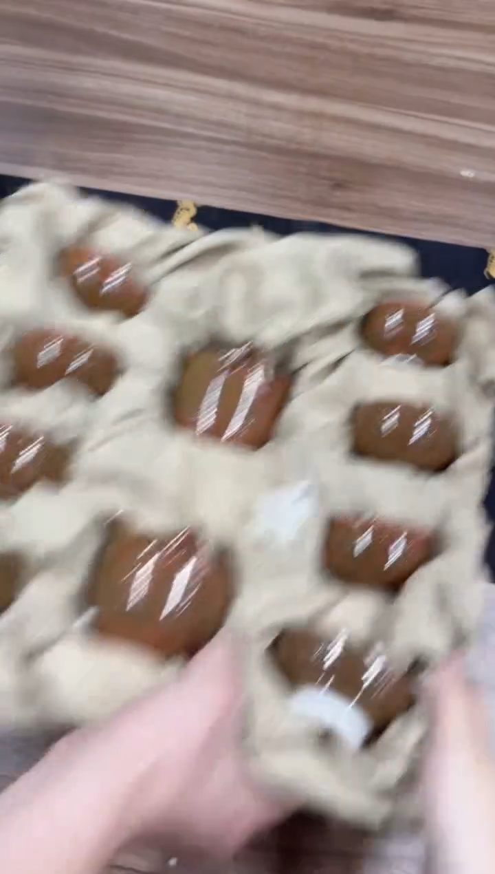 直播专用—主播推荐款，茶具