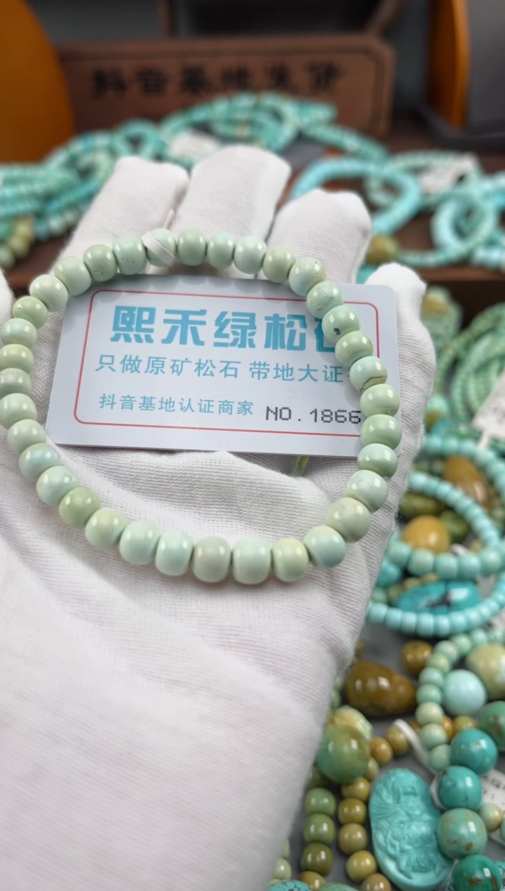绿松石未镶嵌松石1866